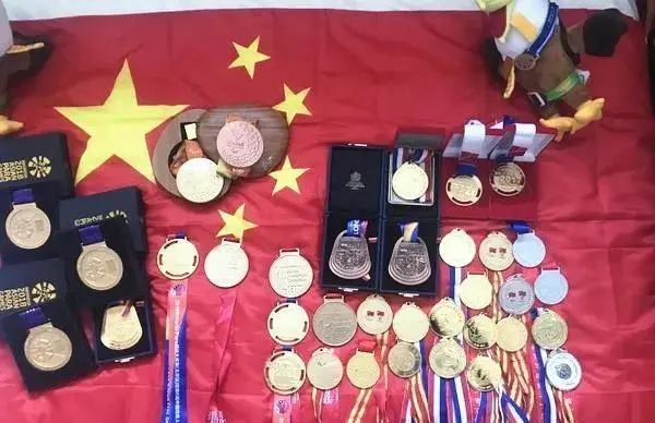 河南残疾游泳世界冠军_残疾人游泳世界冠军_河南残奥会游泳冠军