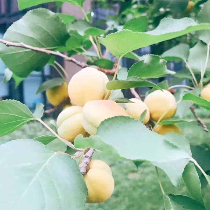 文案趣事英语生活中的句子_关于生活的趣事文案英语_英文趣事分享