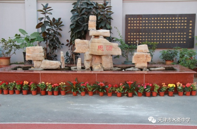 天津跳高冠军是谁啊图片_天津跳高场地_天津跳高教练