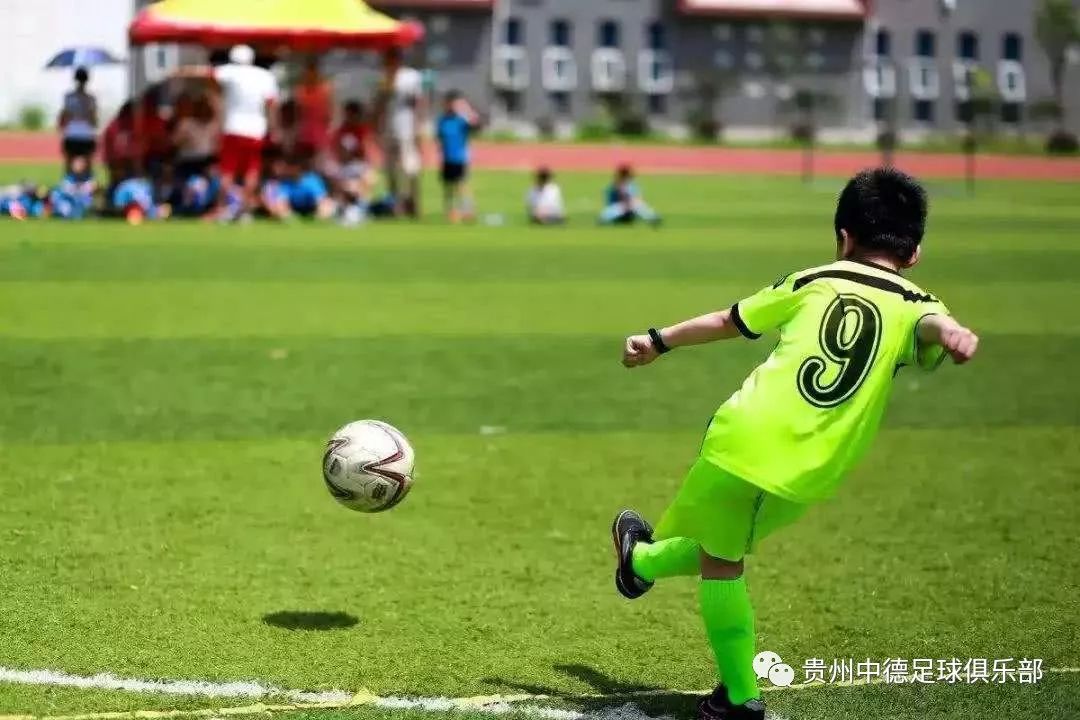 塞尔维亚联赛冠军最多的足球队_2021年塞尔维亚国家足球队_联赛塞尔维亚足球队冠军阵容