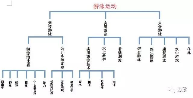 世界冠军游泳系列赛_世界游泳竞技比赛冠军_竞技游泳冠军比赛世界冠军是谁
