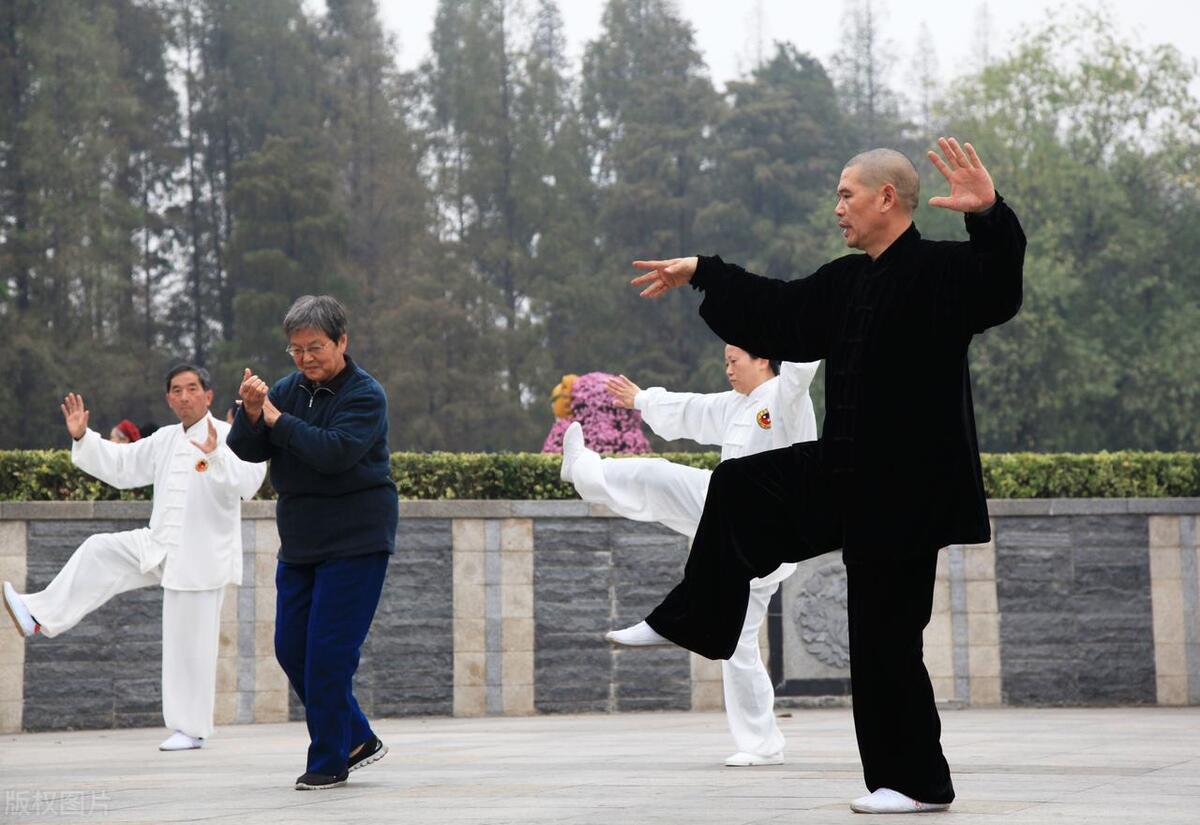 老年生活技能_老年技能生活指导内容_老年日常生活与活动技能