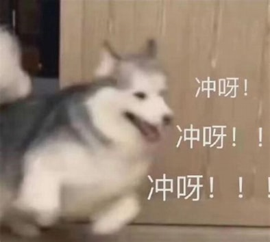 体考足球绕杆射门规则_足球绕杆射门杆间距_足球绕杆射门杆怎么摆放