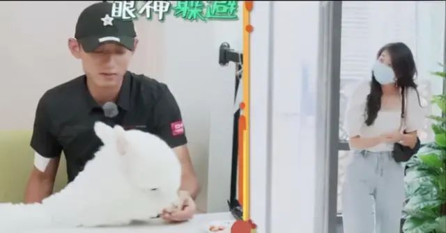游泳水中失衡怎么站立视频_游泳比赛水下出发动作_游泳水下障碍比赛规则