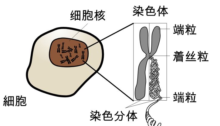 冬奥会知识普及_冬奥会知识秒懂百科_冬奥知识普及