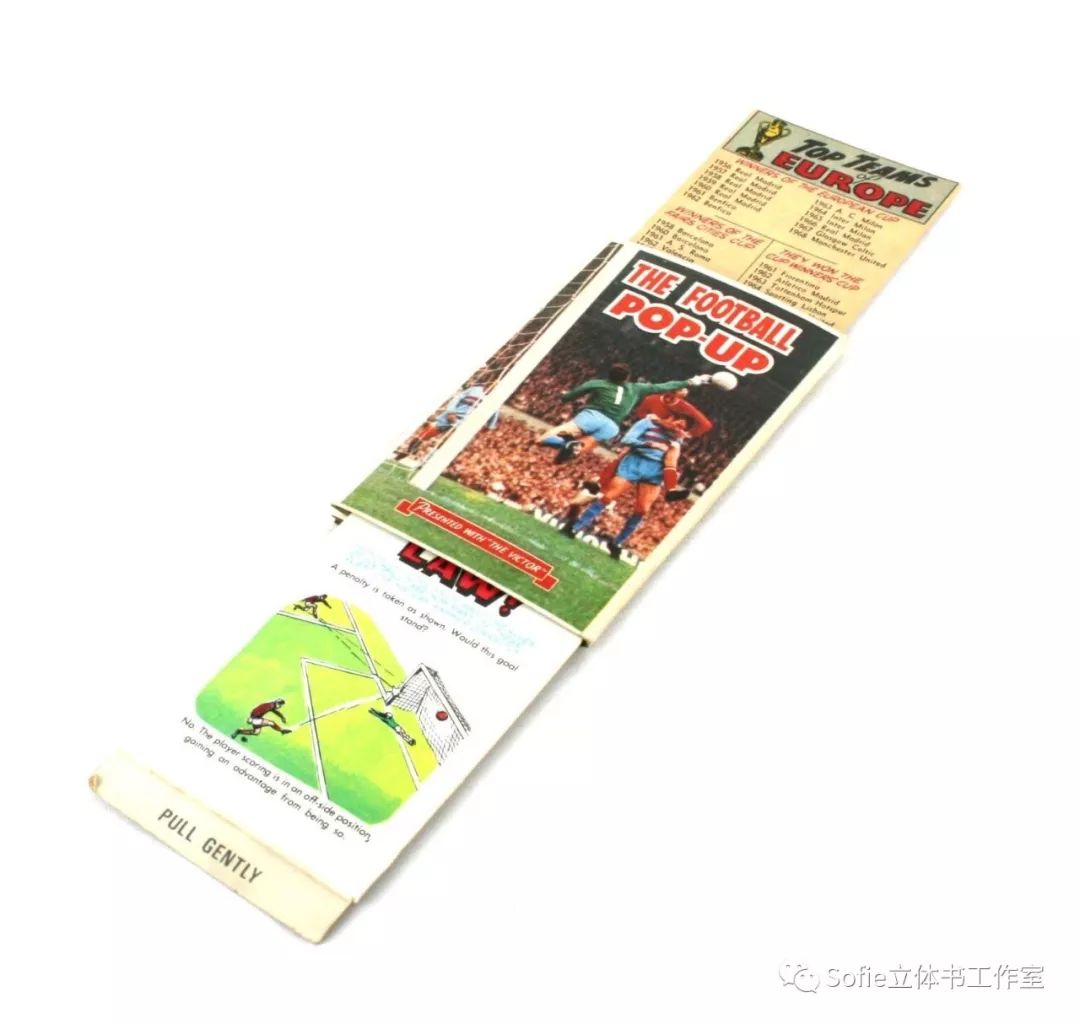 足球规则详细书_足球规则书籍_足球规则书电子版