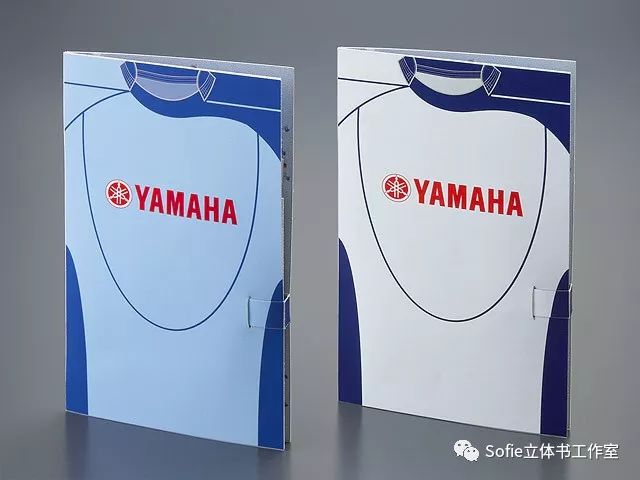 足球规则书电子版_足球规则书籍_足球规则详细书