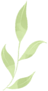 彩虹世界生活技能加点_彩虹生命效果_彩虹世界怎么写