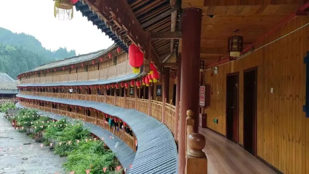 抖音糯米的趣味生活是什么狗_糯米的趣味生活第1期_糯米的趣味生活是什么品种
