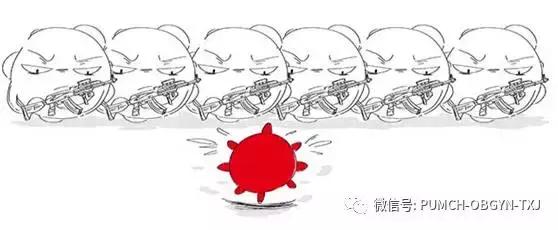 协和生活百科_百度百科协和医院_协和生物是什么