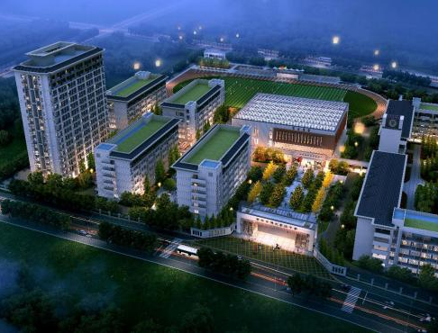 海南游泳队_2020海南游泳比赛_海南男生游泳比赛冠军名单
