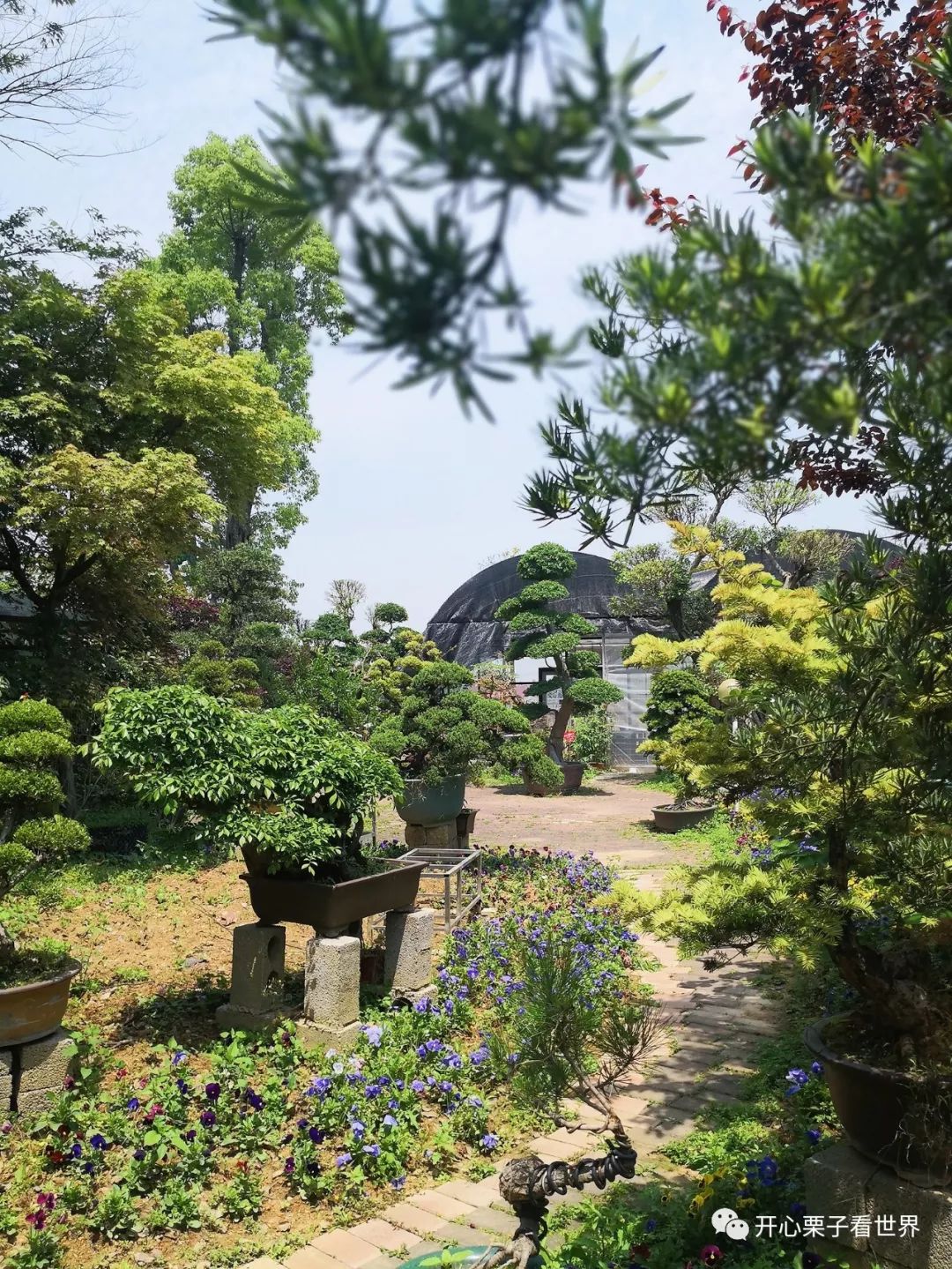 儿童营养师营养餐_108道儿童营养餐_儿童营养餐图画