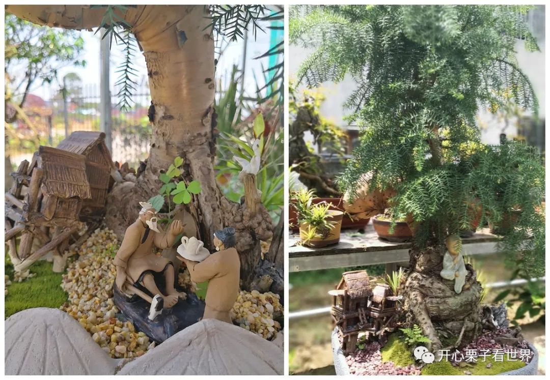 108道儿童营养餐_儿童营养餐图画_儿童营养师营养餐