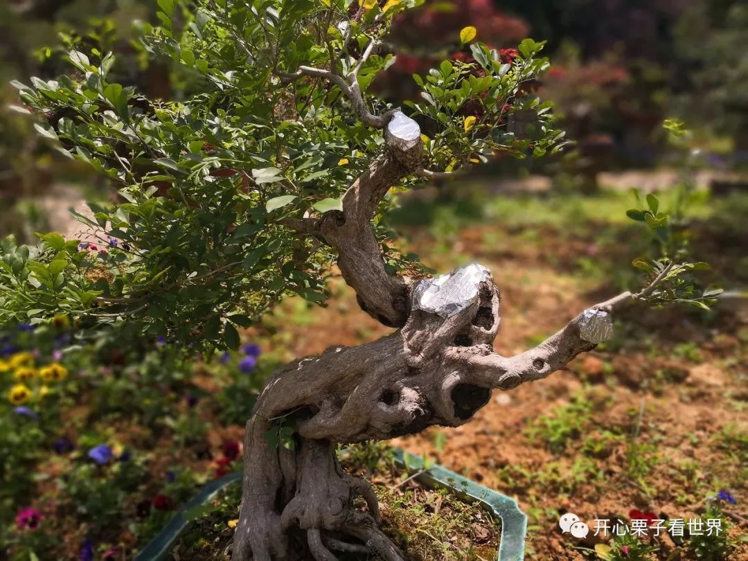 108道儿童营养餐_儿童营养师营养餐_儿童营养餐图画