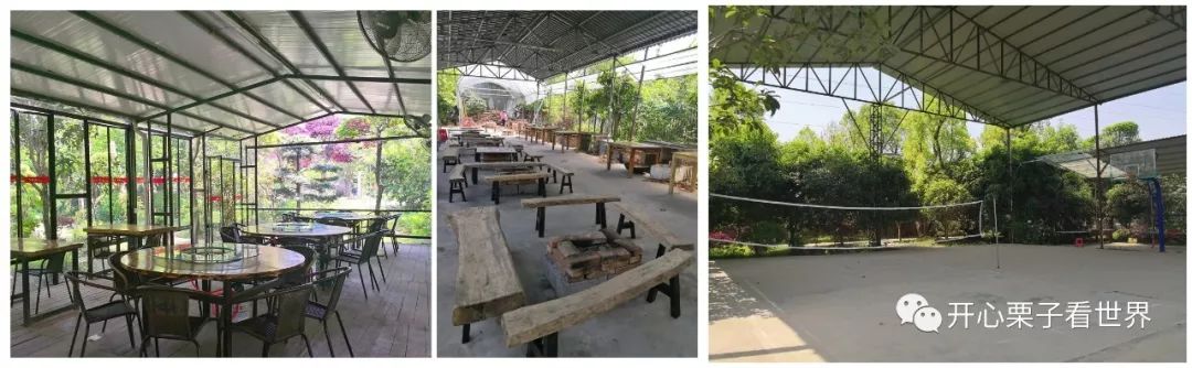 儿童营养师营养餐_儿童营养餐图画_108道儿童营养餐