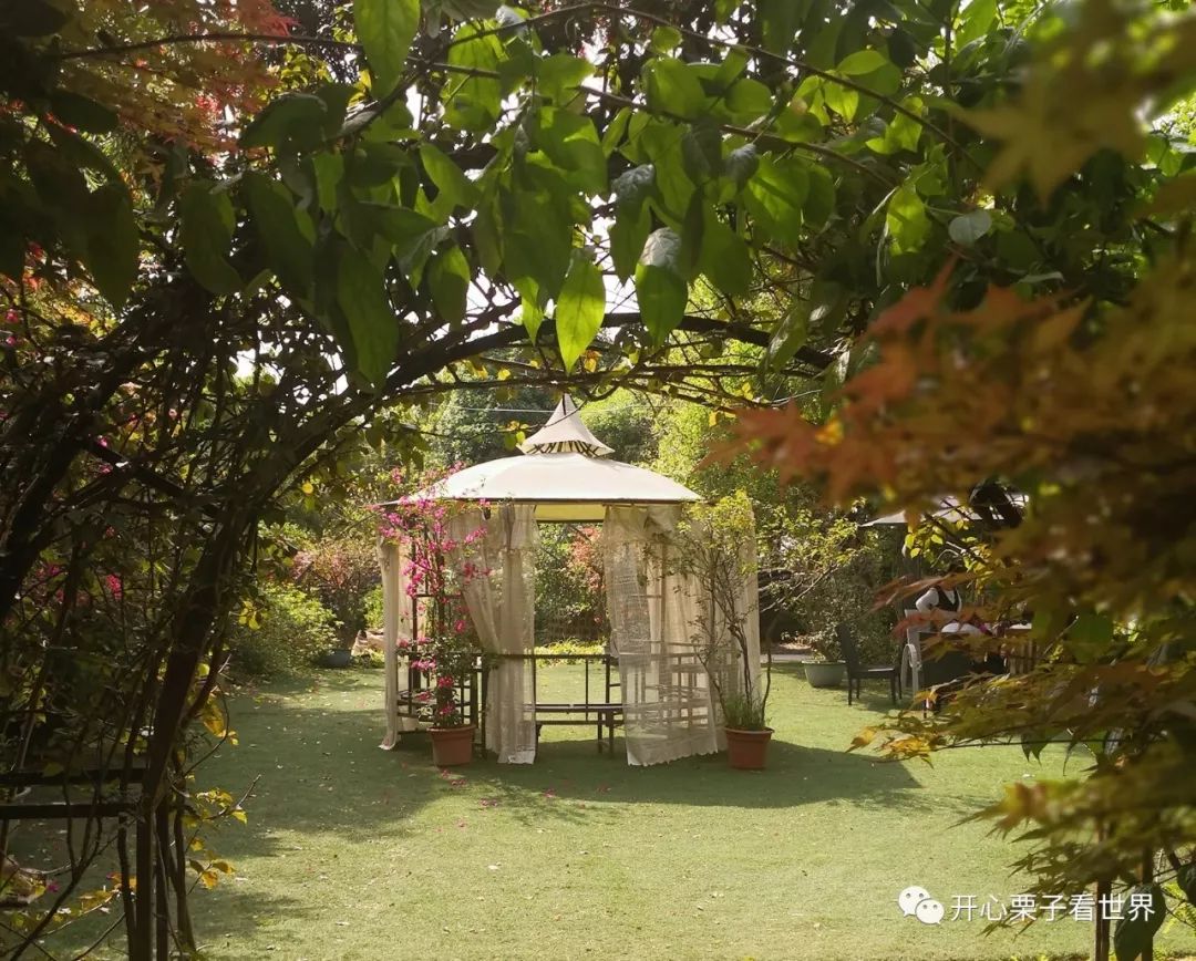 108道儿童营养餐_儿童营养餐图画_儿童营养师营养餐