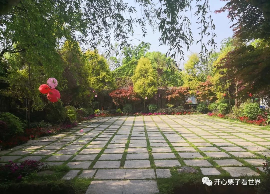 儿童营养餐图画_108道儿童营养餐_儿童营养师营养餐