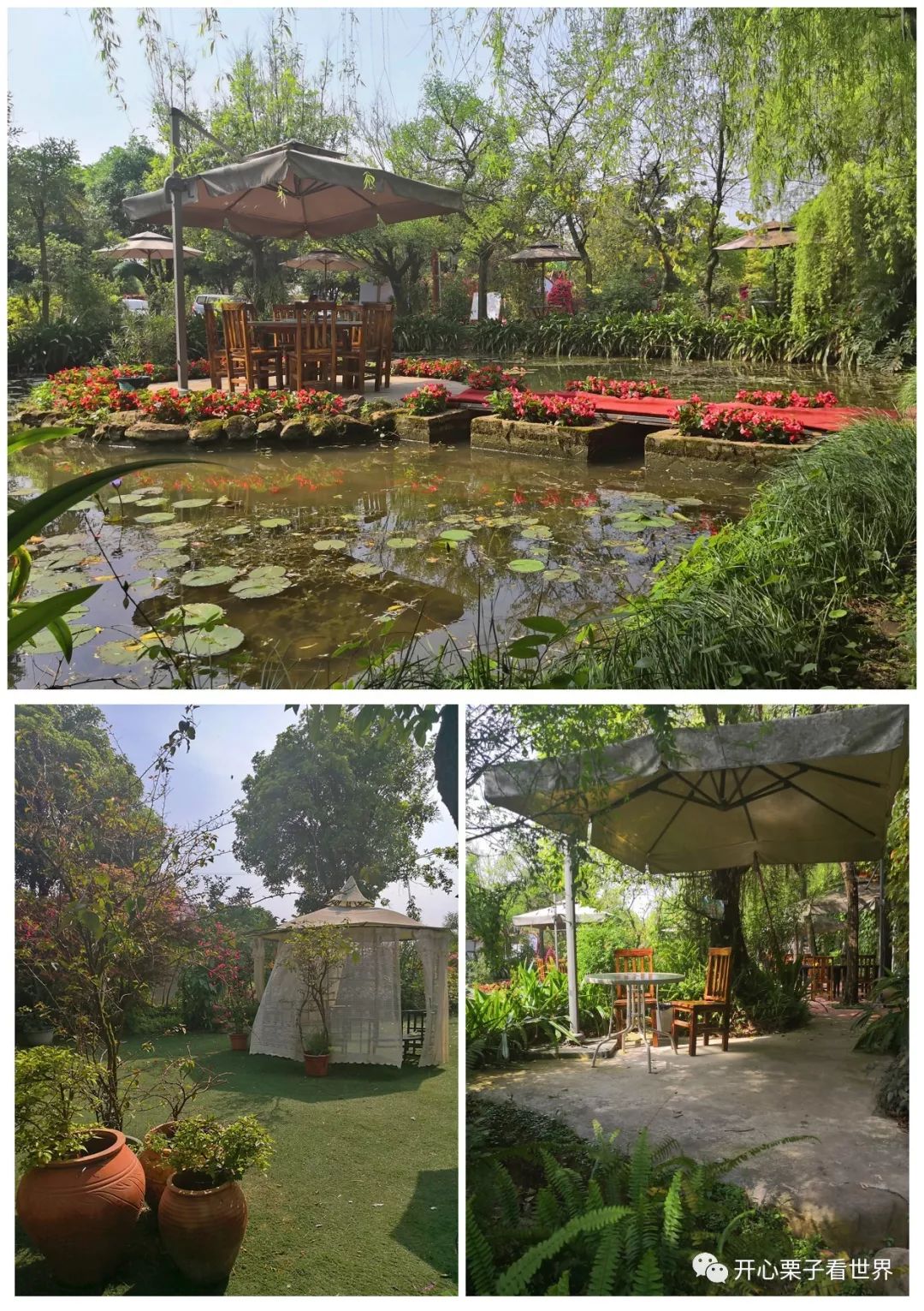 儿童营养餐图画_108道儿童营养餐_儿童营养师营养餐