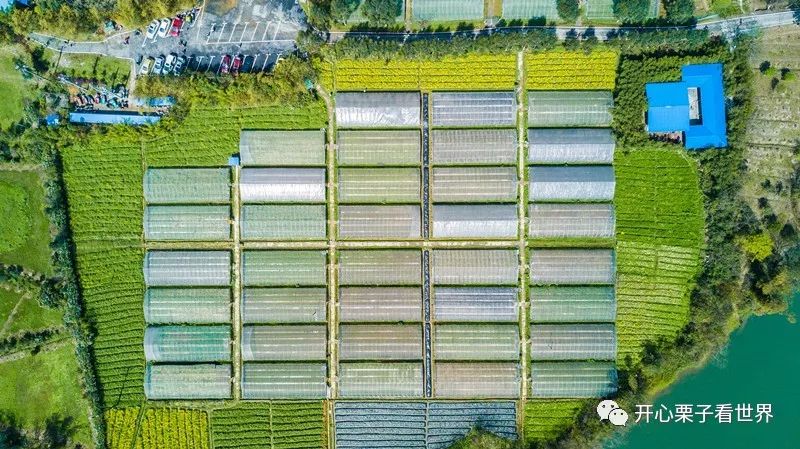 儿童营养餐图画_儿童营养师营养餐_108道儿童营养餐