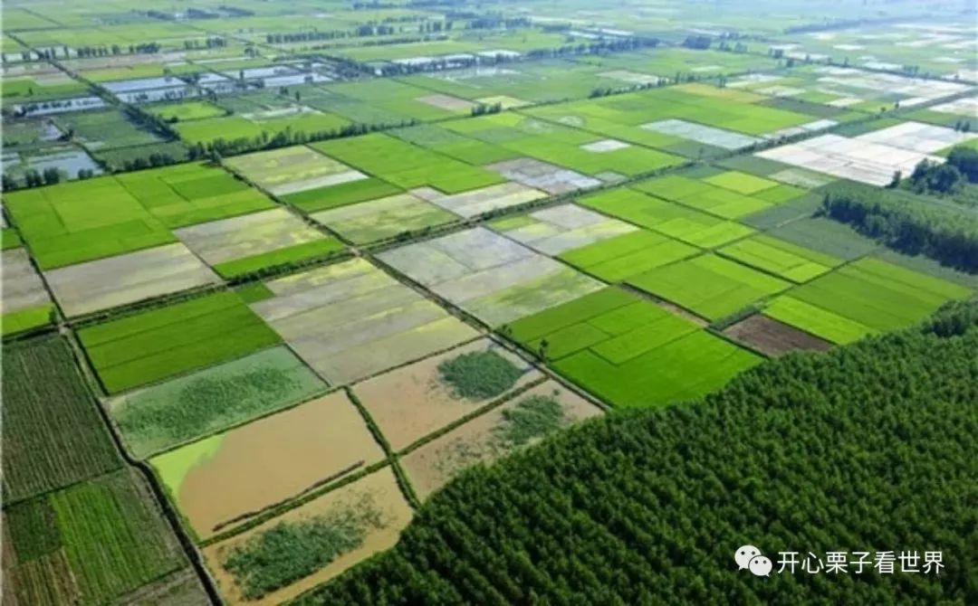 儿童营养师营养餐_108道儿童营养餐_儿童营养餐图画
