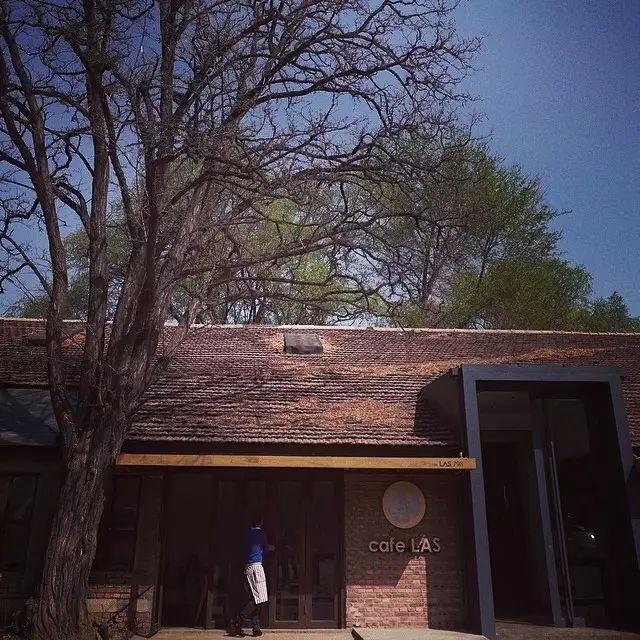生活的技巧有哪些_生活也是有技巧的_生活需要技巧