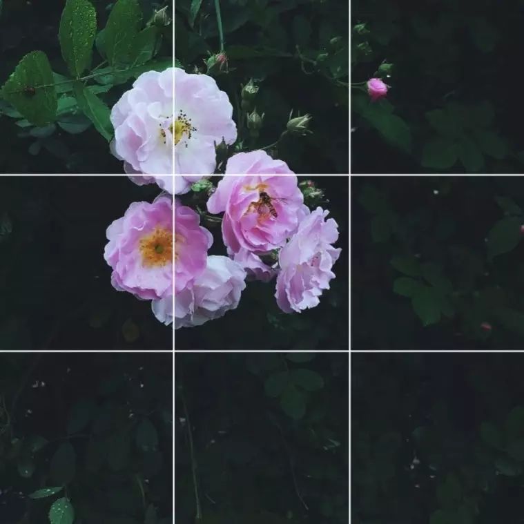 生活需要技巧_生活也是有技巧的_生活的技巧有哪些