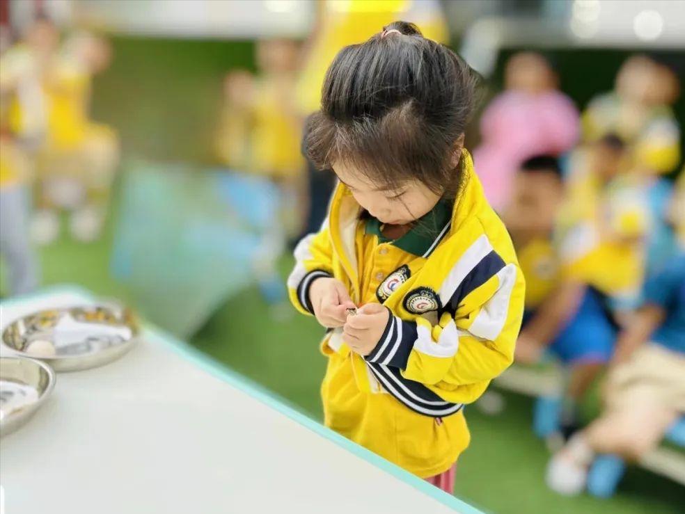 幼儿园线上生活小技能活动_幼儿园生活技能活动总结_幼儿园生活技能活动方案