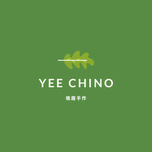 趣味蛙给生活加点料_趣味蛙给生活加点料_趣味蛙给生活加点料