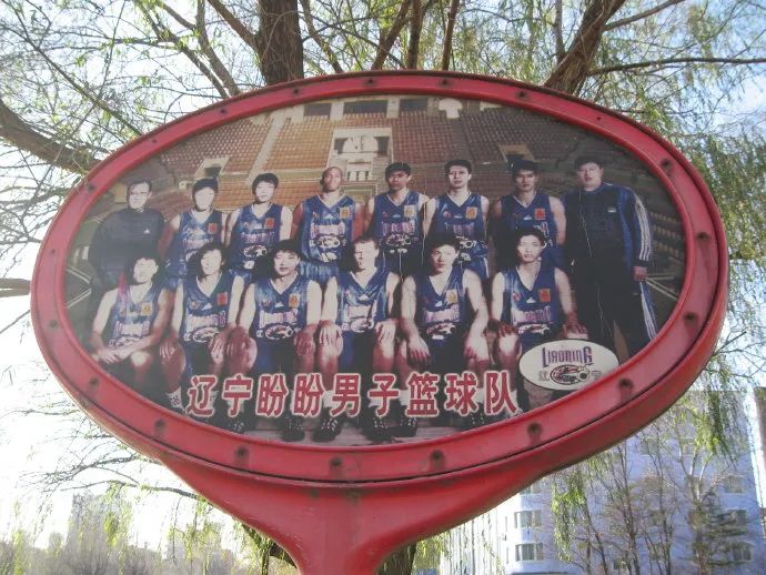 辽宁省柔道队员名单_辽宁省柔道锦标赛_世界柔道冠军辽宁籍运动员