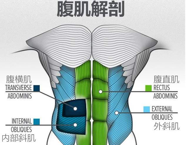 瑜伽健身动作垫上有水珠_瑜伽健身动作垫上铺什么好_瑜伽垫上的健身动作