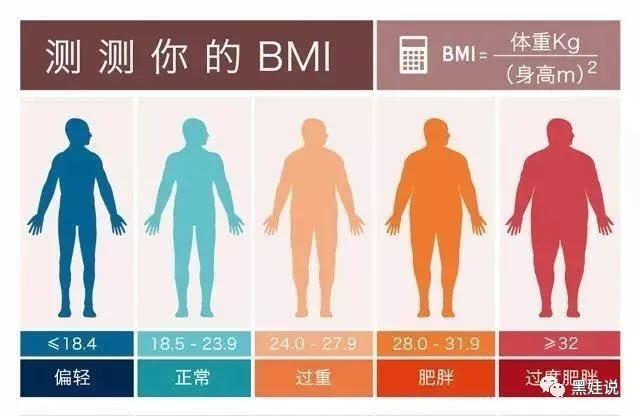 小基数健身三大营养素_基础营养素_小基数减脂三大营养素比例