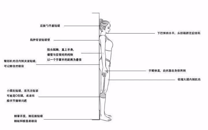 基础营养素有必要吃吗_小基数健身三大营养素_小基数减脂三大营养素比例