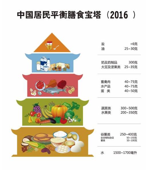 小基数减脂三大营养素比例_基础营养素_小基数健身三大营养素