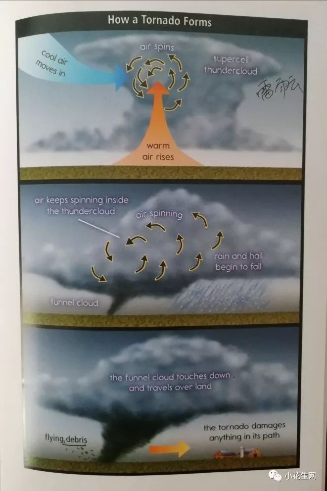 讲篮球规则的英语课文_篮球规则英语版_篮球规则英语海报素材高中