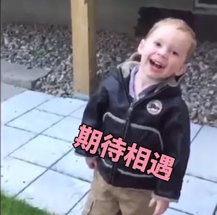 篮球后场犯规回24秒吗_篮球后场犯规_篮球打后场的规则是什么