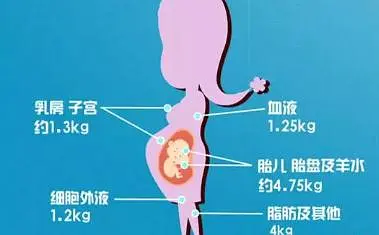 营养孕妇餐_孕期营养餐定制_海口孕期营养餐