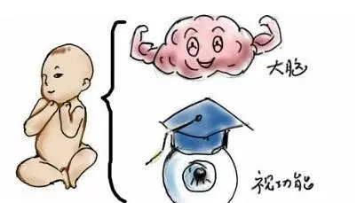 孕期营养餐定制_营养孕妇餐_海口孕期营养餐