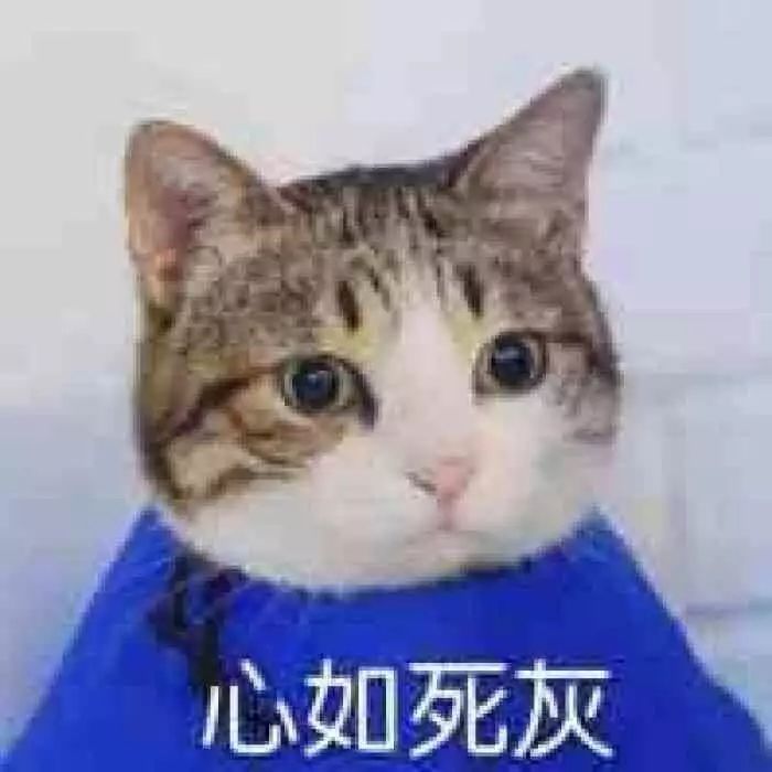 颈椎健身房怎么锻炼_颈椎病健身房私教_颈椎健身
