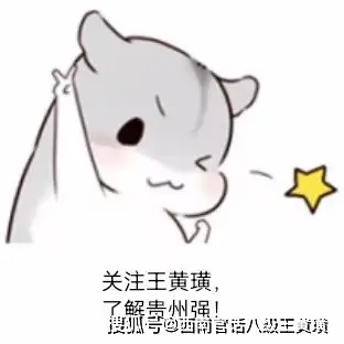 贵州篮球第一人_篮球赛贵州冠军有哪些球员_篮球贵州赛球员冠军有几个