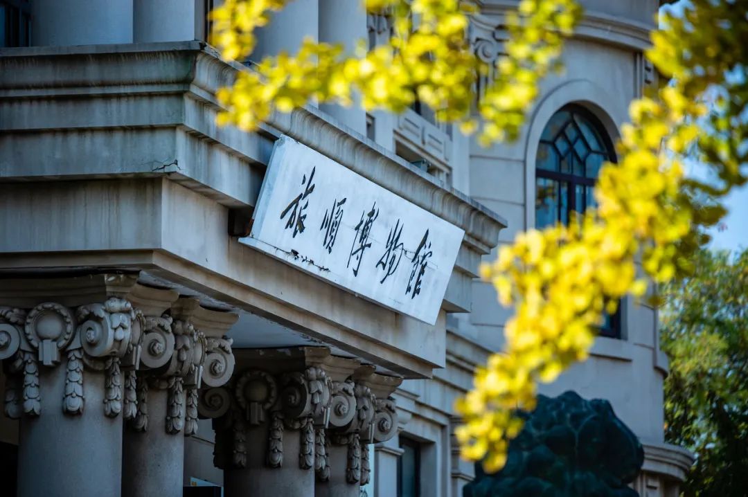 烟台开发区沙滩足球冠军_烟台开发区足球场_烟台开发区足球俱乐部