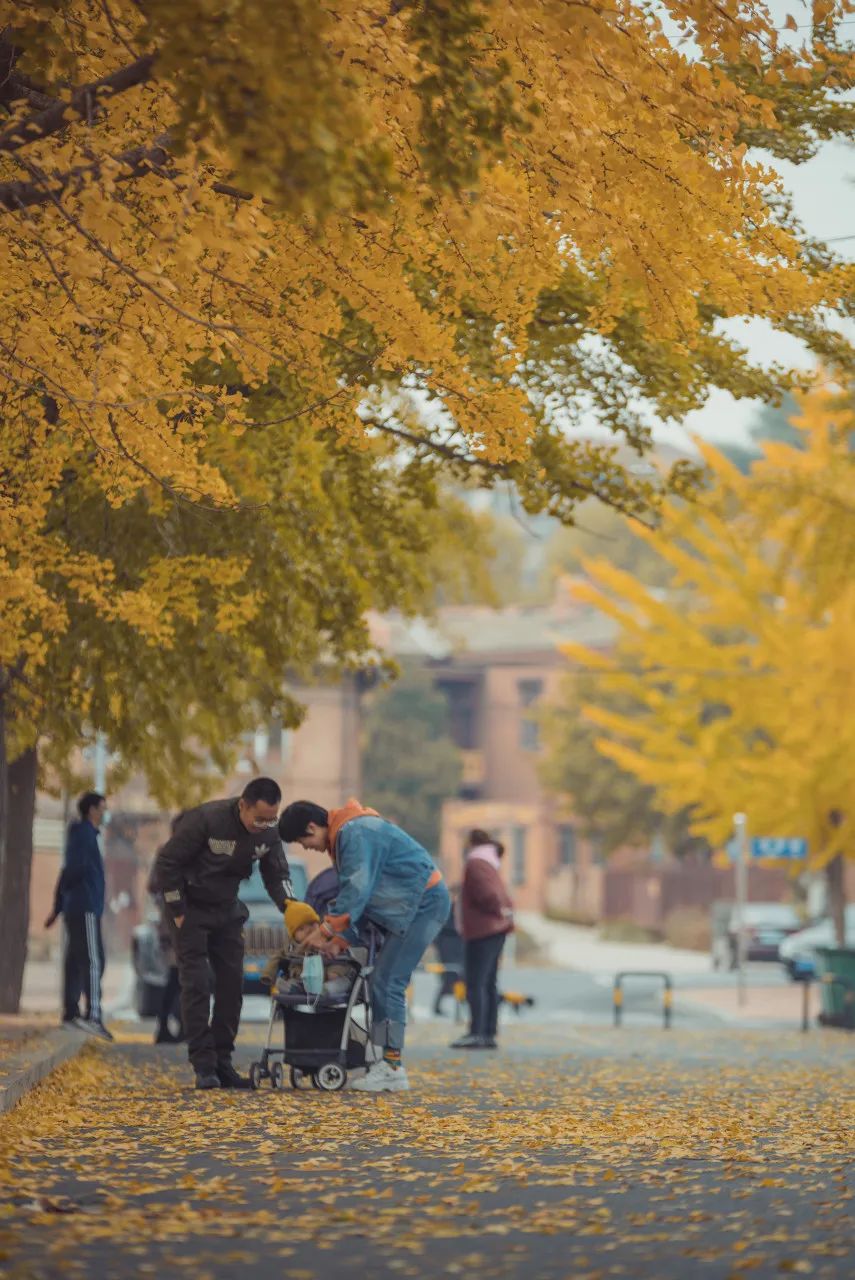 烟台开发区足球俱乐部_烟台开发区沙滩足球冠军_烟台开发区足球场