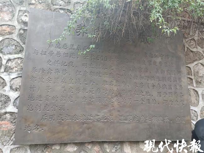 希望2021年家人身体健康_虎年希望家人身体健康_希望家人身体健康的文案