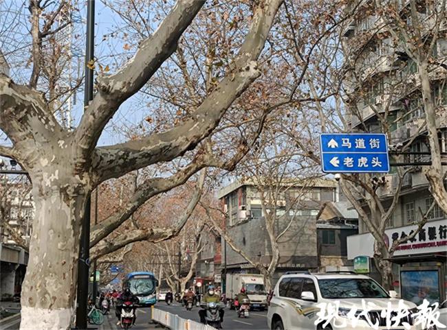 希望2021年家人身体健康_希望家人身体健康的文案_虎年希望家人身体健康