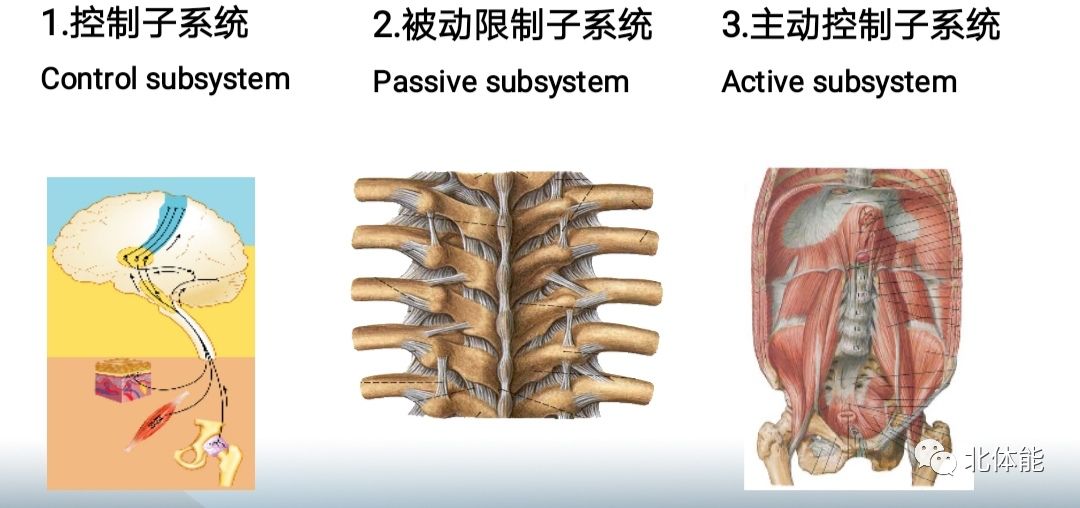 视频技巧训练柔道教学_柔道视频教程_柔道训练技巧视频