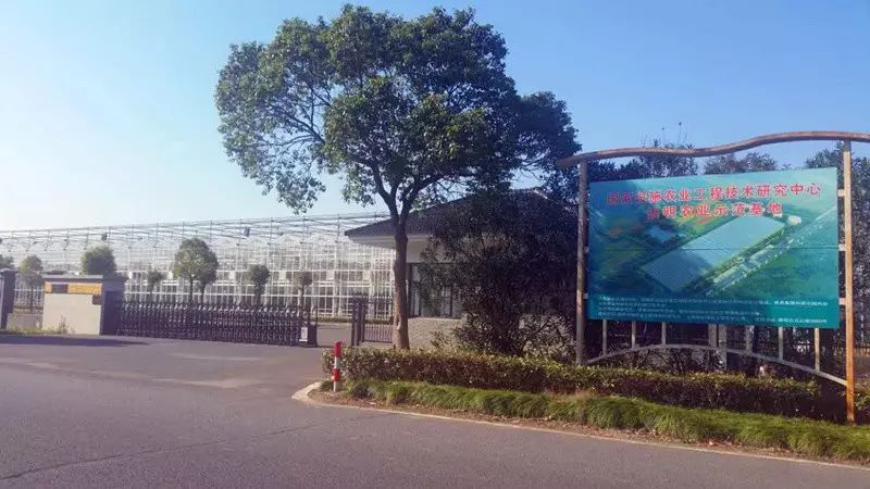 新安村篮球赛冠军_新安村篮球赛冠军_新安村篮球赛冠军