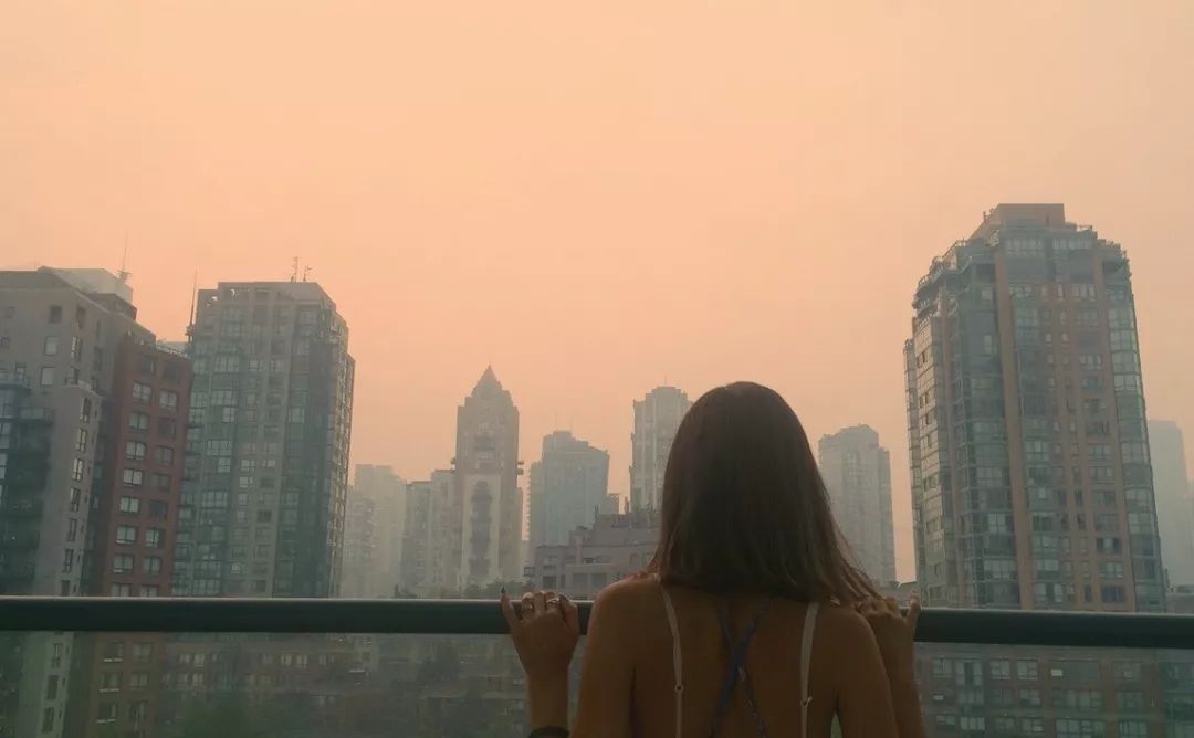 独居健康方式生活有哪些_独居生活的利与弊_健康的独居生活方式有哪些