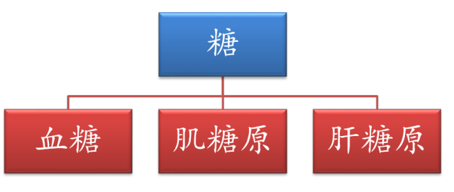马拉松最佳体重_马拉松体重最佳多少_马拉松运动员最佳体重