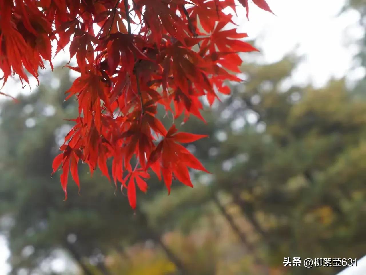 健康生活方式四个方面_健康方式生活有_健康方式生活方式有
