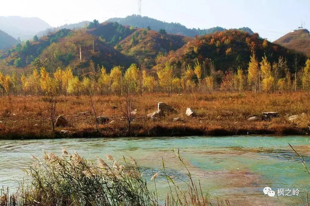 涿州本地生活群_涿州生活百科_涿州生活频道直播