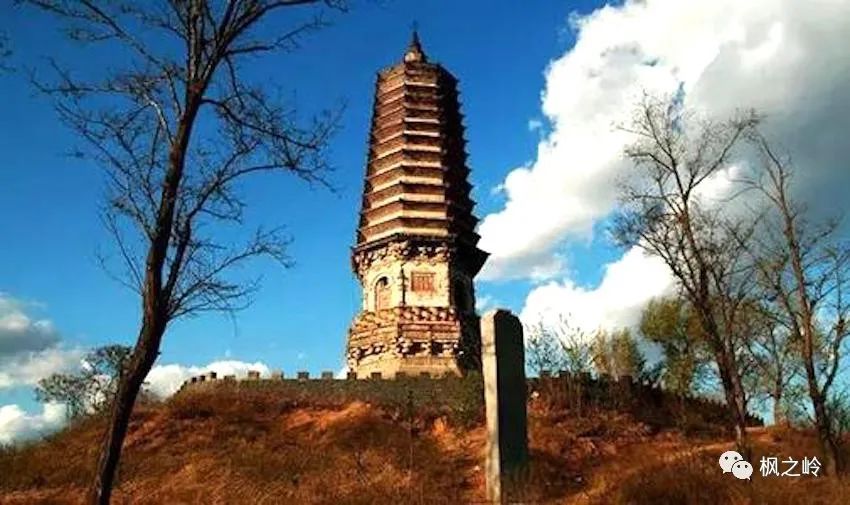 涿州本地生活群_涿州生活频道直播_涿州生活百科